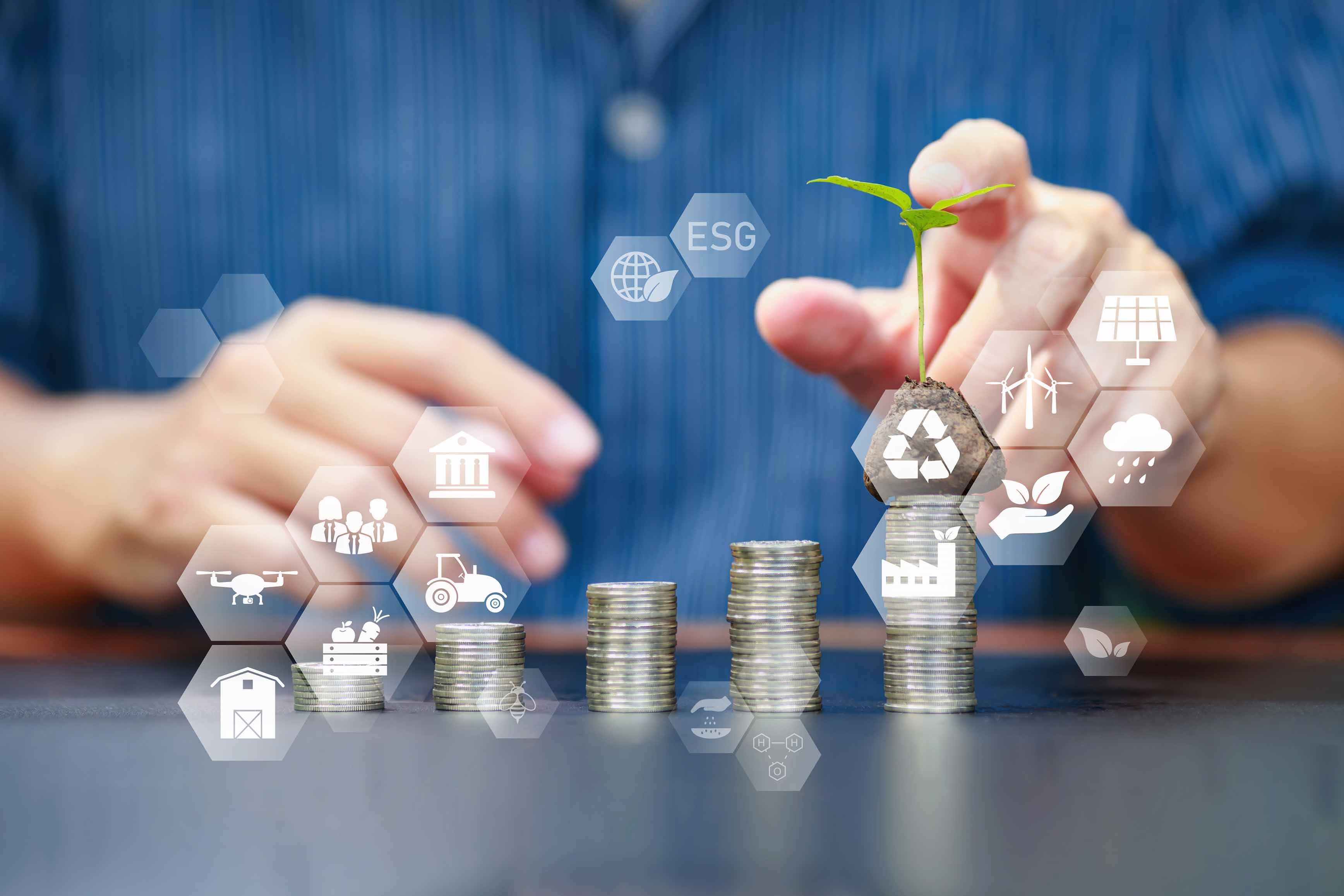 sostebilità e accesso al credito