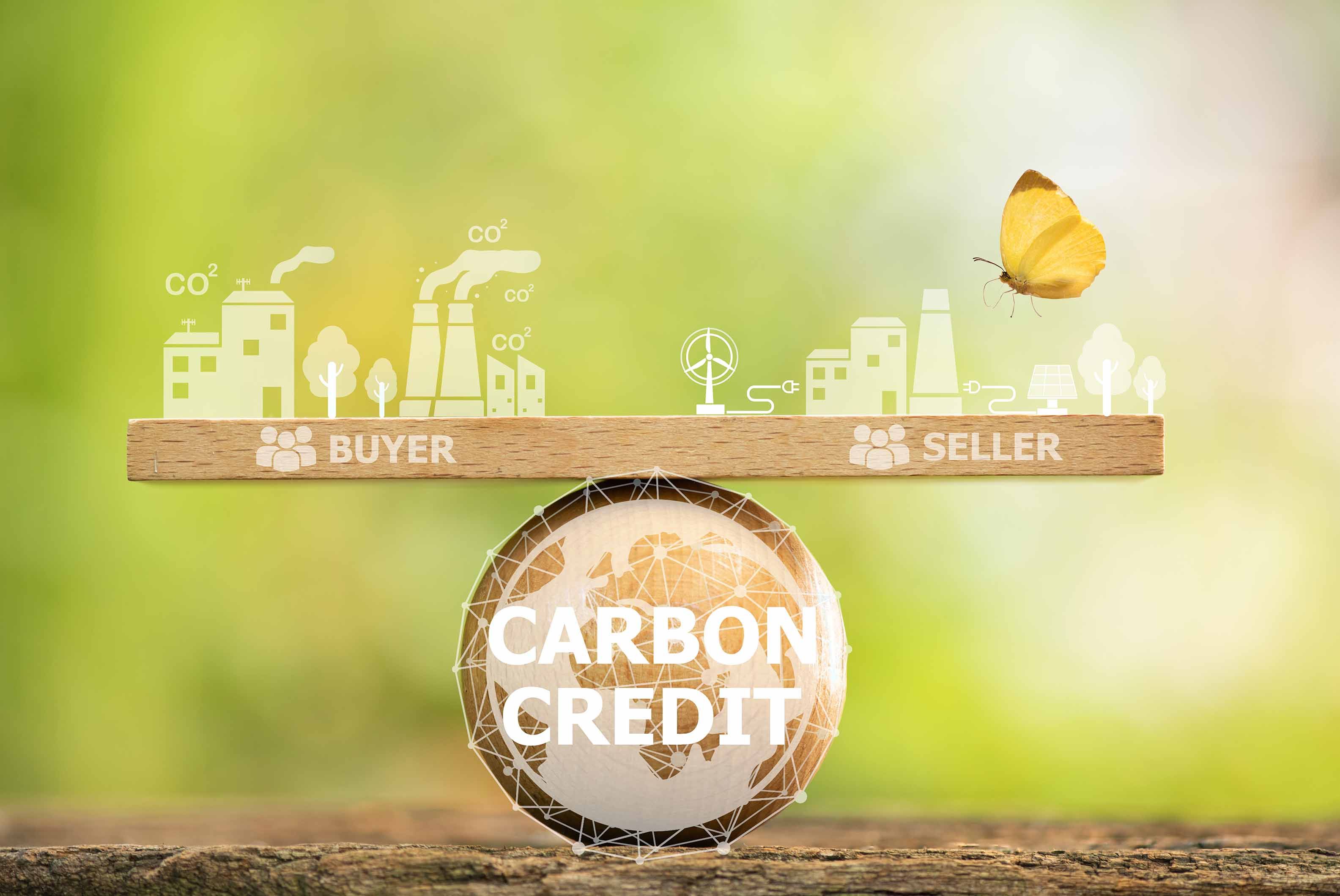 Carbon Credit e l'importanza per le imprese