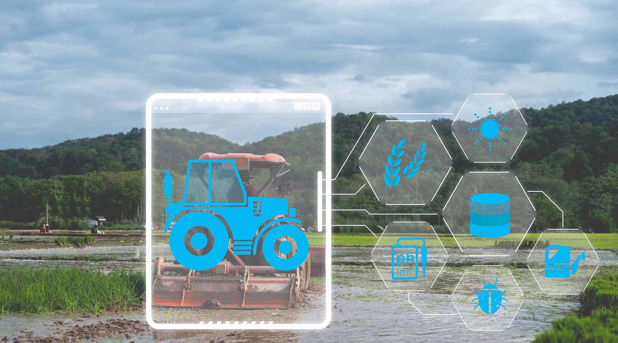 Bando MEF/MASAF: contributi a fondo perduto per aziende agricole