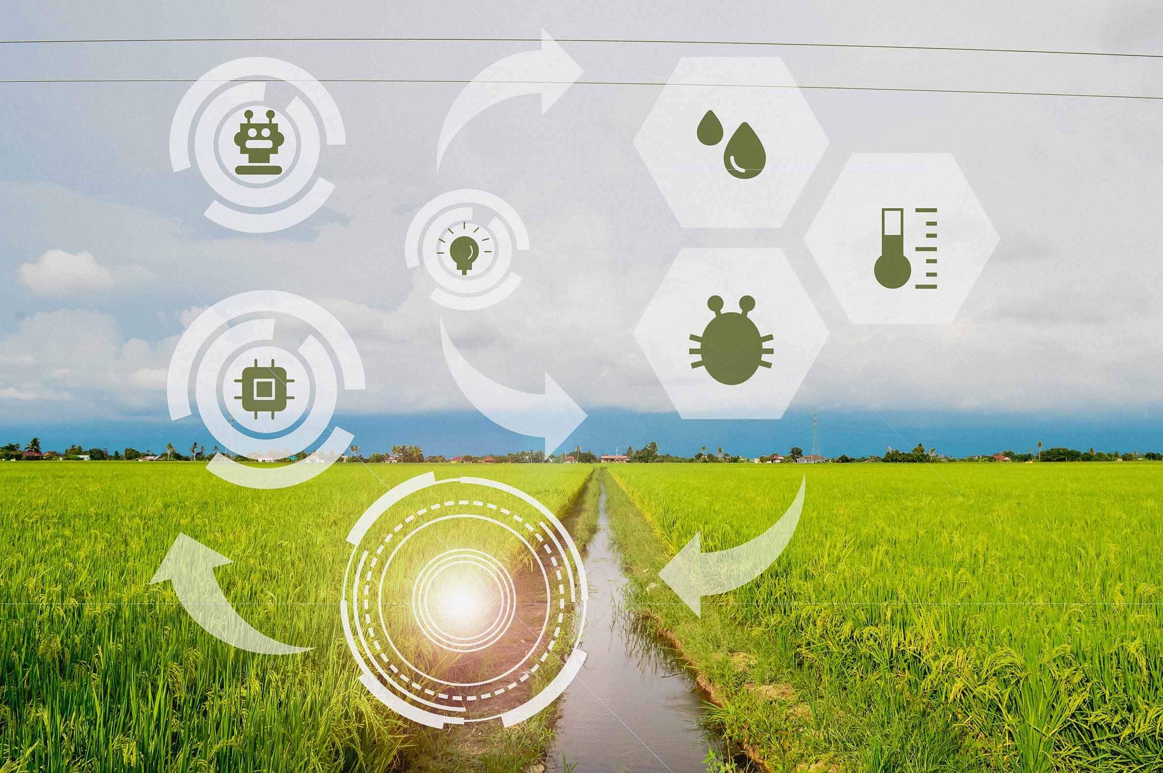 Icone per innovazione e sostenibilità sullo sfondo di un campo.