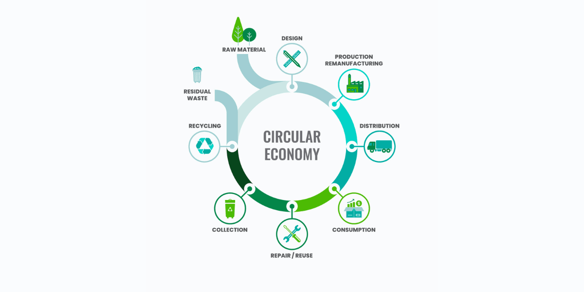Diagramma che illustra il sistema dell'economia circolare: evidenzia come le risorse vengano reintegrate nel sistema produttivo per ridurre gli sprechi e promuovere la sostenibilità