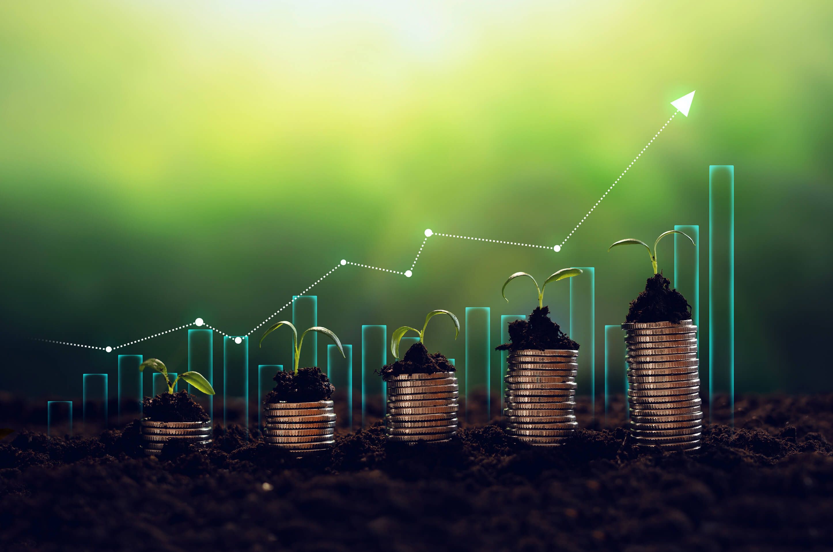 Grafico composto da pile di monete con andamento positivo e a tema green e digitale.